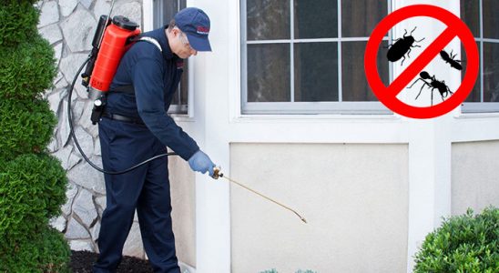 Burdur Tahtakurusu İlaçlama böcek ilaçlama ve haşere kontrolü — ilaclama-tr.com